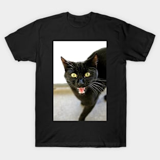 Fangs Mate T-Shirt